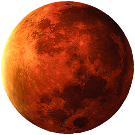 DRUNK MOON logo